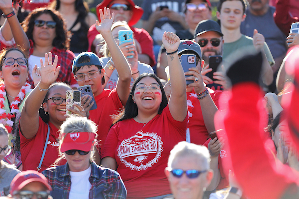 crowd cheering