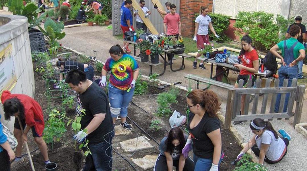 Students building a garden