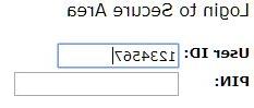 横幅登录的截图具有用户ID和PIN字段